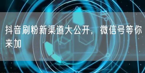抖音刷粉新渠道大公开，微信号等你来加
