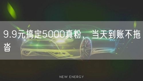 9.9元搞定5000真粉，当天到账不拖沓