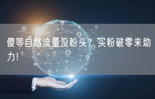 傻等自然流量没盼头？买粉破零来助力！