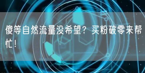 傻等自然流量没希望？买粉破零来帮忙！