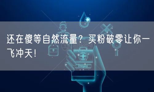 还在傻等自然流量？买粉破零让你一飞冲天！