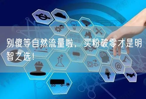 别傻等自然流量啦，买粉破零才是明智之选！