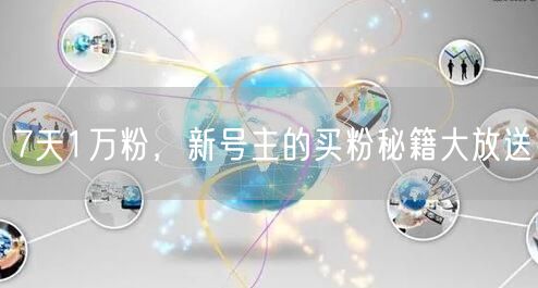 7天1万粉，新号主的买粉秘籍大放送