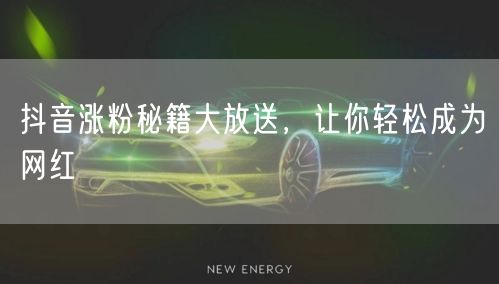 抖音涨粉秘籍大放送，让你轻松成为网红