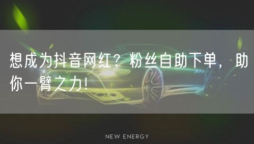 想成为抖音网红？粉丝自助下单，助你一臂之力！