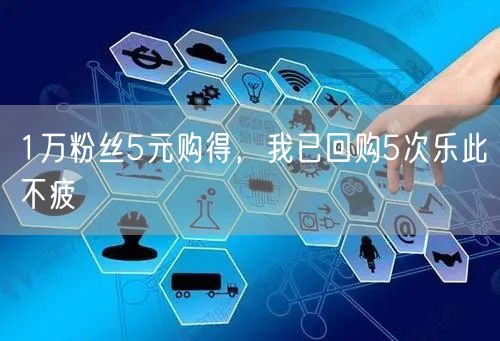 1万粉丝5元购得，我已回购5次乐此不疲