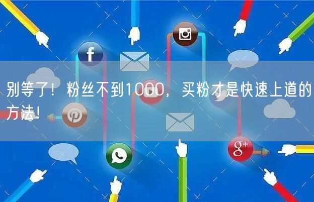 别等了！粉丝不到1000，买粉才是快速上道的方法！