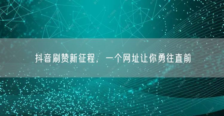 抖音刷赞新征程，一个网址让你勇往直前