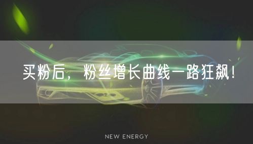 买粉后，粉丝增长曲线一路狂飙！