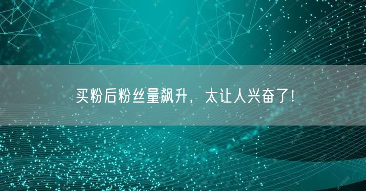 买粉后粉丝量飙升，太让人兴奋了！