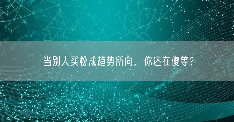 当别人买粉成趋势所向，你还在傻等？