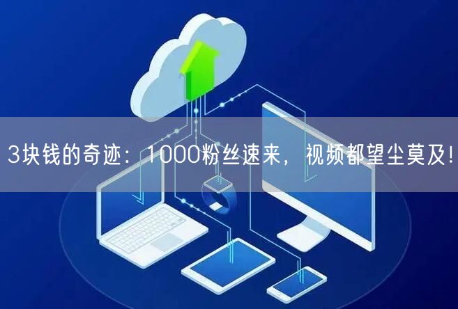 3块钱的奇迹：1000粉丝速来，视频都望尘莫及！