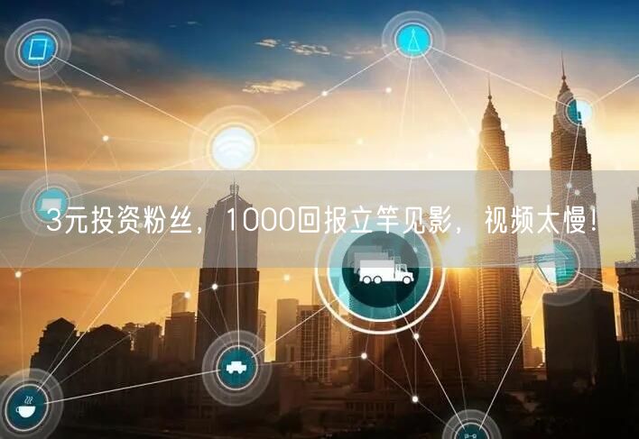 3元投资粉丝，1000回报立竿见影，视频太慢！