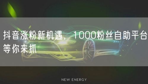 抖音涨粉新机遇，1000粉丝自助平台等你来抓