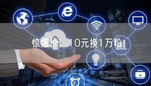 惊爆价！10元换1万粉