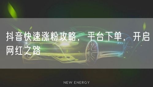 抖音快速涨粉攻略，平台下单，开启网红之路