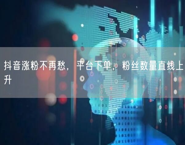 抖音涨粉不再愁，平台下单，粉丝数量直线上升