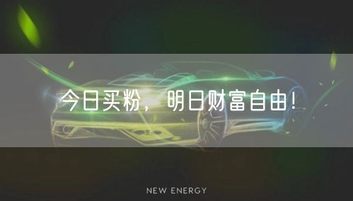 今日买粉，明日财富自由！