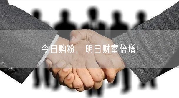 今日购粉，明日财富倍增！