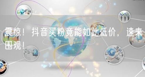 震惊！抖音买粉竟能如此低价，速来围观！