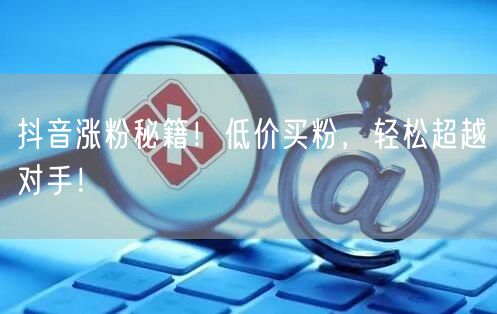 抖音涨粉秘籍！低价买粉，轻松超越对手！