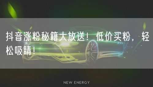 抖音涨粉秘籍大放送！低价买粉，轻松吸睛！