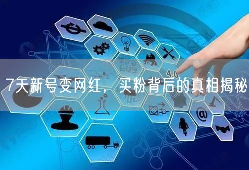 7天新号变网红，买粉背后的真相揭秘