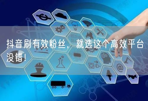 抖音刷有效粉丝，就选这个高效平台没错！