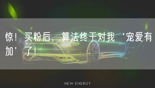 惊！买粉后，算法终于对我‘宠爱有加’了！