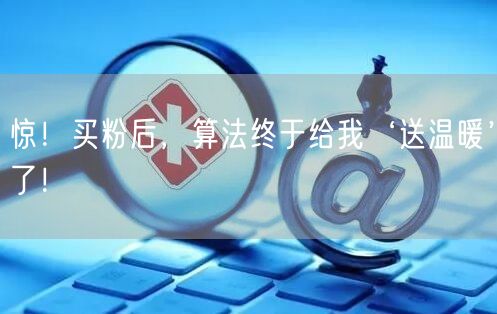 惊！买粉后，算法终于给我‘送温暖’了！