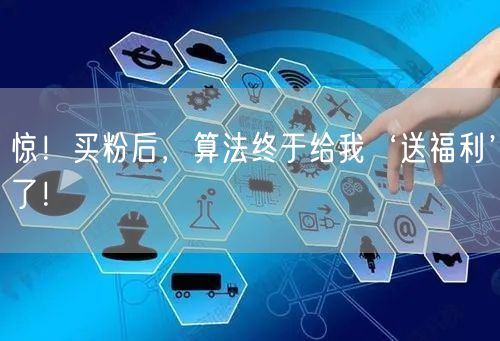 惊！买粉后，算法终于给我‘送福利’了！
