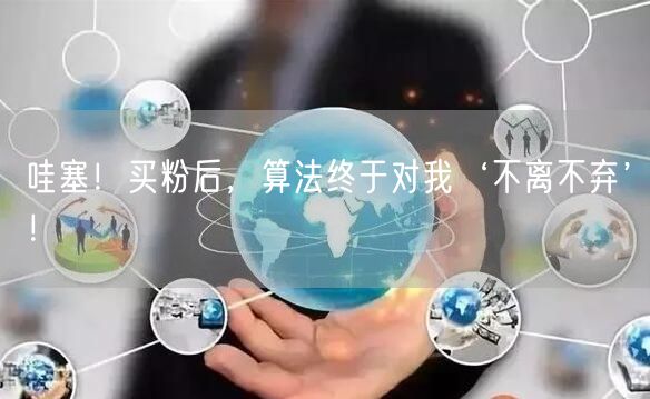哇塞！买粉后，算法终于对我‘不离不弃’！