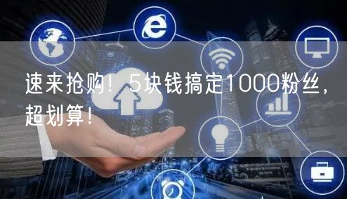 速来抢购！5块钱搞定1000粉丝，超划算！