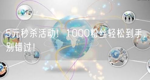 5元秒杀活动！1000粉丝轻松到手，别错过！