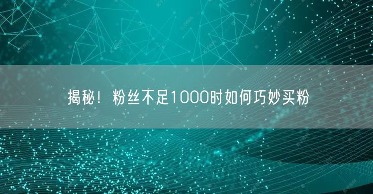 揭秘！粉丝不足1000时如何巧妙买粉