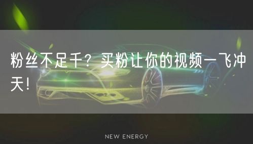 粉丝不足千？买粉让你的视频一飞冲天！