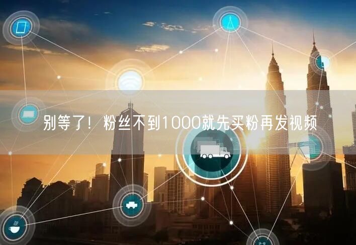 别等了！粉丝不到1000就先买粉再发视频
