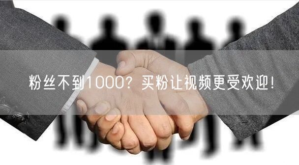 粉丝不到1000？买粉让视频更受欢迎！