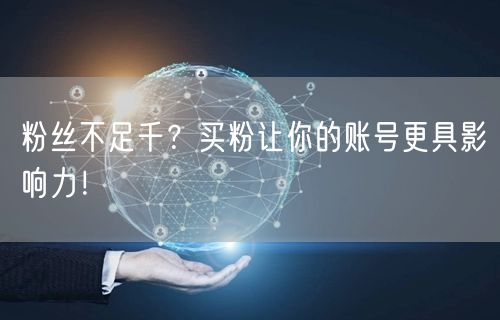 粉丝不足千？买粉让你的账号更具影响力！
