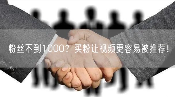 粉丝不到1000？买粉让视频更容易被推荐！