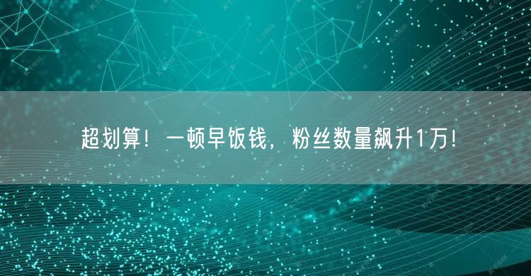 超划算！一顿早饭钱，粉丝数量飙升1万！