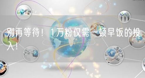 别再等待！1万粉仅需一顿早饭的投入！