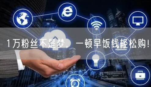 1万粉丝不是梦，一顿早饭钱轻松购！