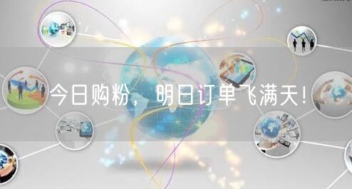 今日购粉，明日订单飞满天！