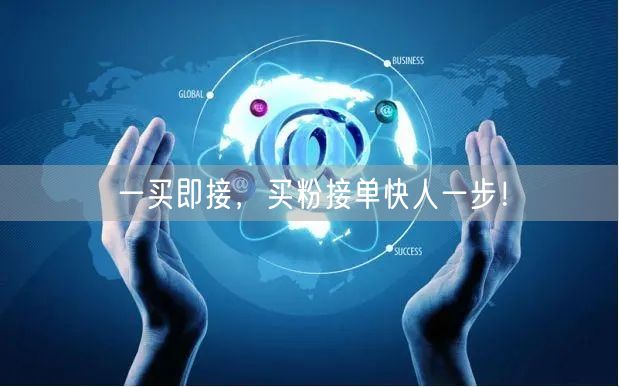 一买即接，买粉接单快人一步！