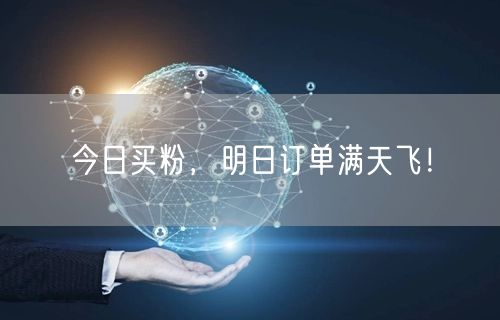 今日买粉，明日订单满天飞！