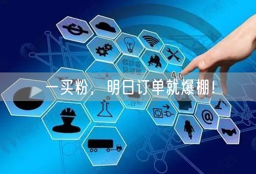 一买粉，明日订单就爆棚！