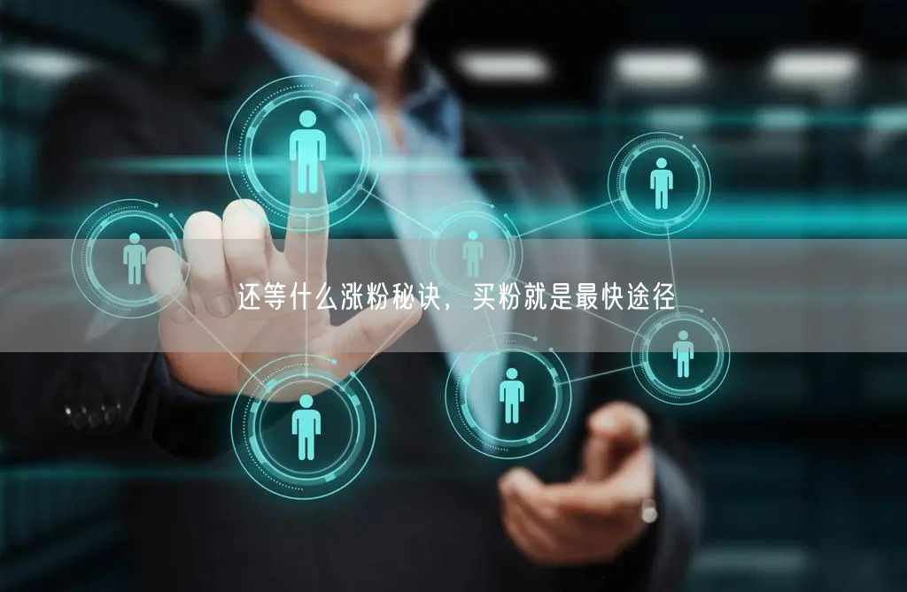 还等什么涨粉秘诀，买粉就是最快途径