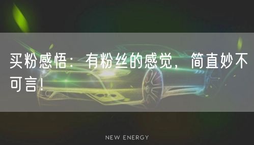 买粉感悟：有粉丝的感觉，简直妙不可言！