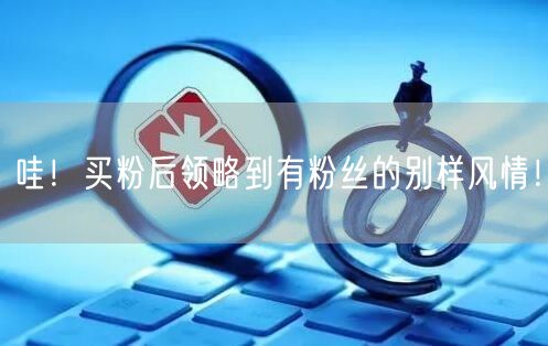 哇！买粉后领略到有粉丝的别样风情！